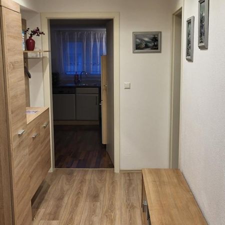 Holiday Apartment فرودنستاد المظهر الخارجي الصورة